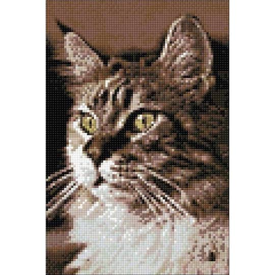 Crafting Spark Cat at Home Diamond Painting Kit